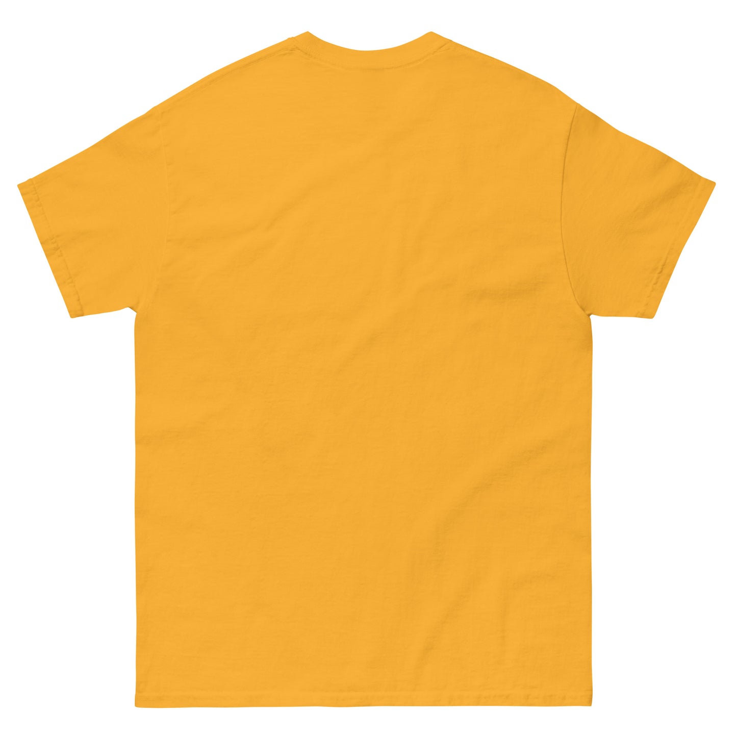 St Joseph - classic t-shirt